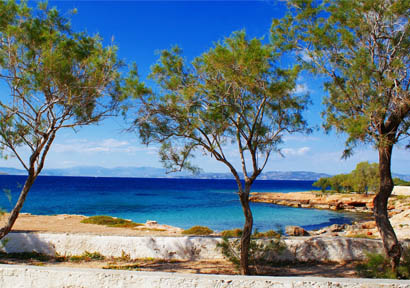 SARONIC